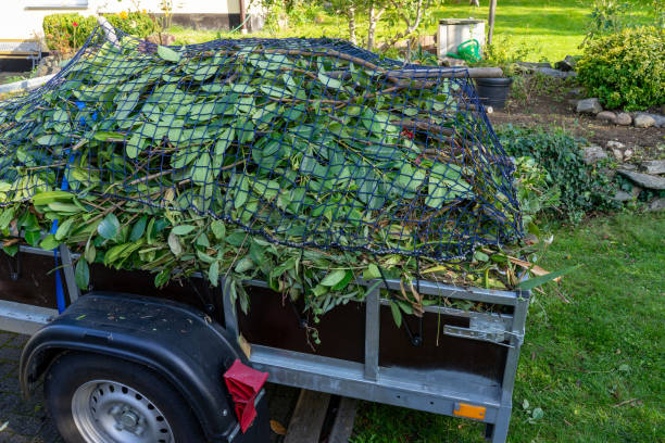 Recycling Services for Junk in Griswold, IA